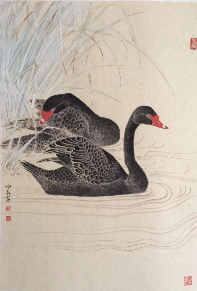 新工笔花鸟画作品欣赏（清新而优美传统且现代的工笔花鸟画）(22)