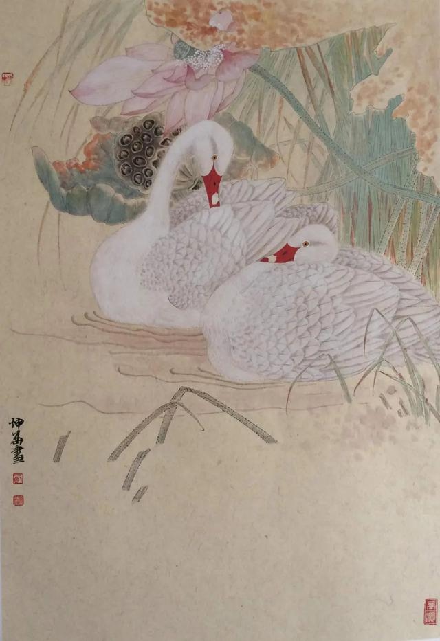 新工笔花鸟画作品欣赏（清新而优美传统且现代的工笔花鸟画）(20)