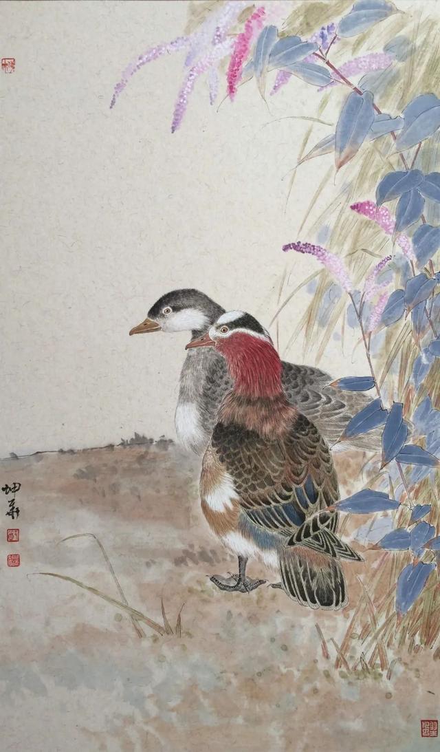 新工笔花鸟画作品欣赏（清新而优美传统且现代的工笔花鸟画）(14)