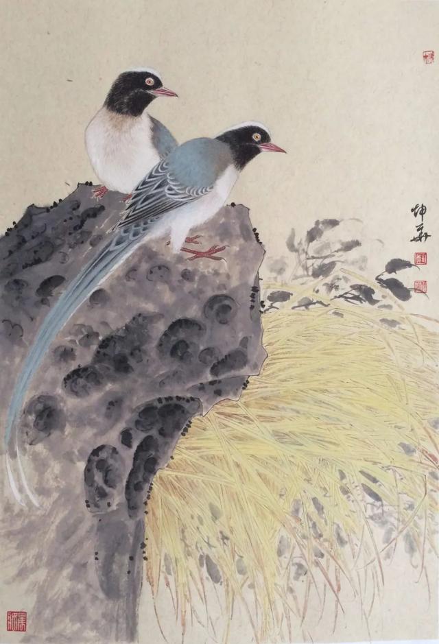 新工笔花鸟画作品欣赏（清新而优美传统且现代的工笔花鸟画）(18)
