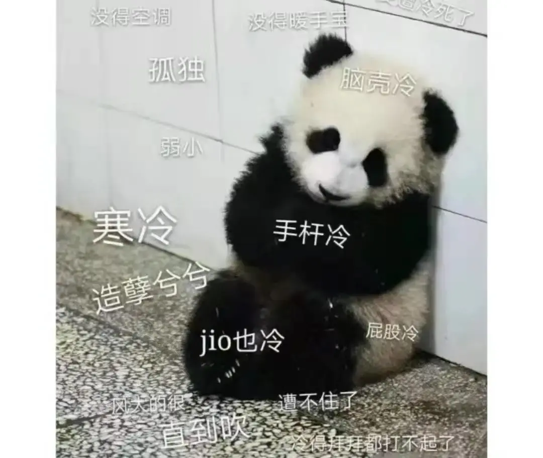 三月份入伍和九月份入伍有什么不同（当兵3月份走和9月份走的区别）(图1)