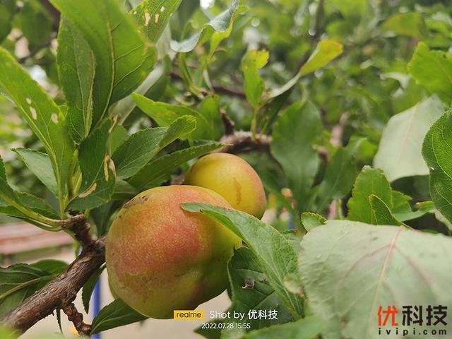真我gt2大师探索版全面测评（颜值性能无可挑剔）(81)