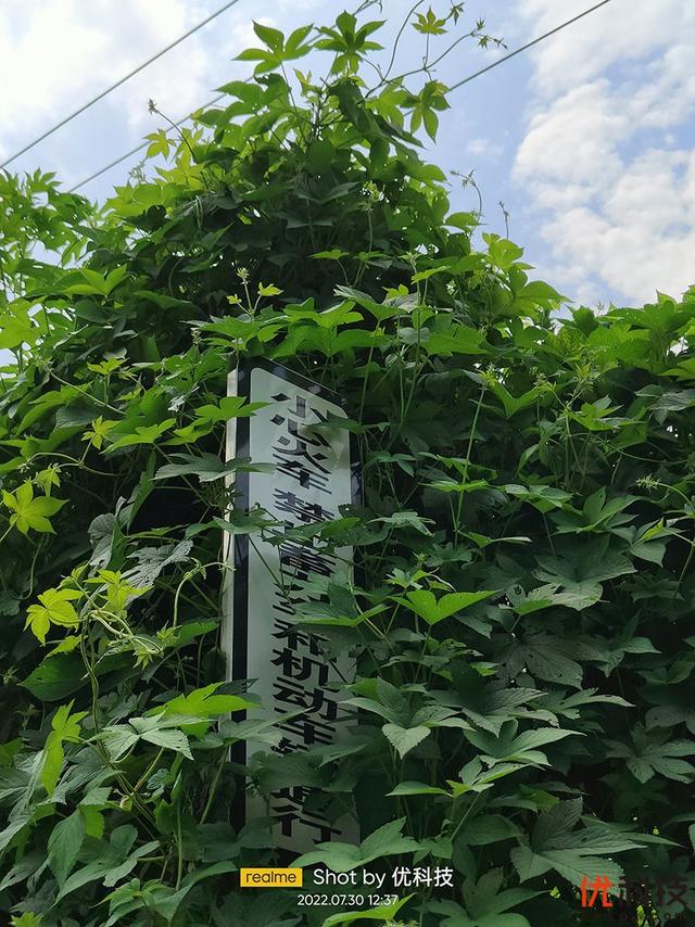 真我gt2大师探索版全面测评（颜值性能无可挑剔）(84)