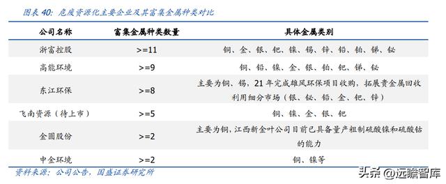 固体废物治理龙头（技术领先的固废处置企业）(29)