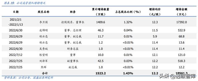固体废物治理龙头（技术领先的固废处置企业）(15)