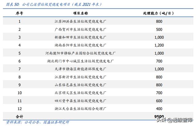 固体废物治理龙头（技术领先的固废处置企业）(37)