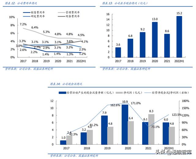 固体废物治理龙头（技术领先的固废处置企业）(11)