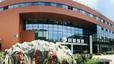 ​固体废物治理龙头（技术领先的固废处置企业）