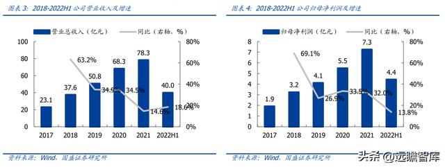 固体废物治理龙头（技术领先的固废处置企业）(4)