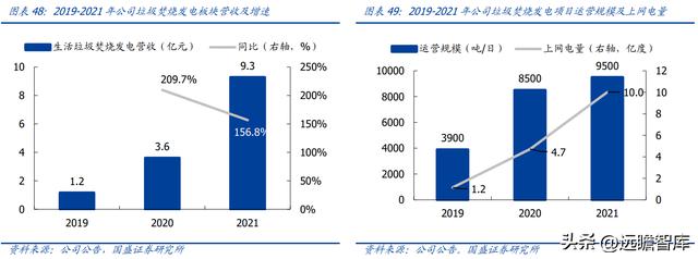 固体废物治理龙头（技术领先的固废处置企业）(36)