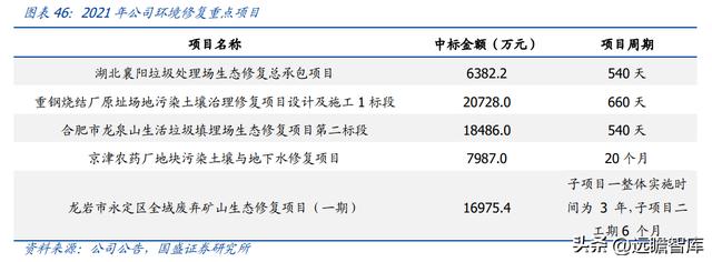 固体废物治理龙头（技术领先的固废处置企业）(34)