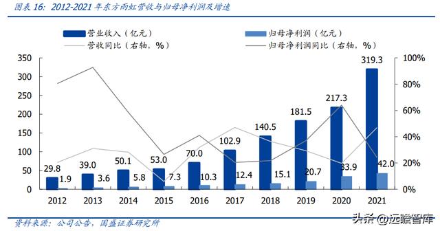 固体废物治理龙头（技术领先的固废处置企业）(13)