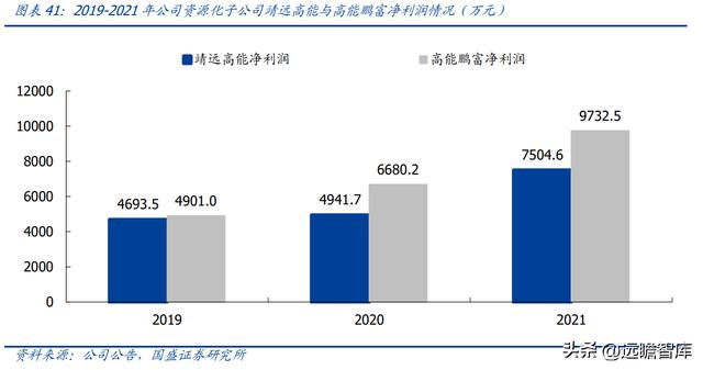 固体废物治理龙头（技术领先的固废处置企业）(30)
