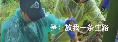 ​夺笋呐是什么,夺笋呐是什么意思