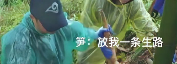 夺笋呐是什么,夺笋呐是什么意思图1