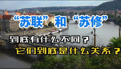 ​苏修和苏联区别（苏联和苏修是什么关系，有什么不同）