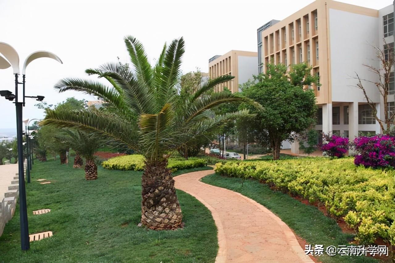 云南交通职业技术学院哪个专业前景好(云南交通职业技术学校怎么样)(图4) 云南交通职业技术学院哪个专业前景好(云南交通职业技术学校怎么样)(图4)