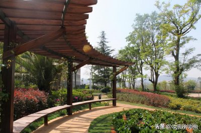 ​云南交通职业技术学院哪个专业前景好（云南交通职业技术学校怎么样）