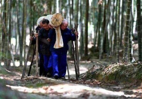 一人不进庙有什么说法(老祖宗忠告一人不进庙)(4)