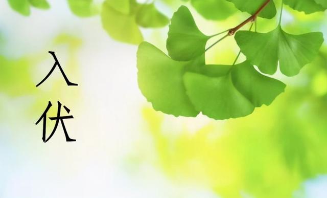 夏至三庚入头伏怎样算法（夏至三庚数头伏）(1)