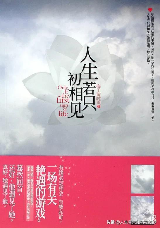 高干文文笔好的高质量的小说现代言情（文笔超惊艳的高质量现言小说）(图3)