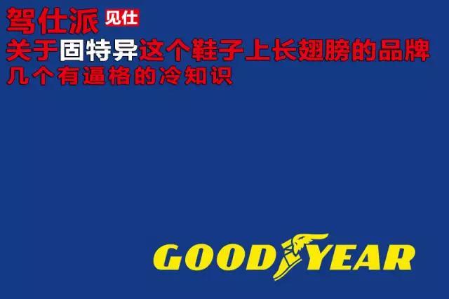固特异简介(关于固特异这个品牌)(1)