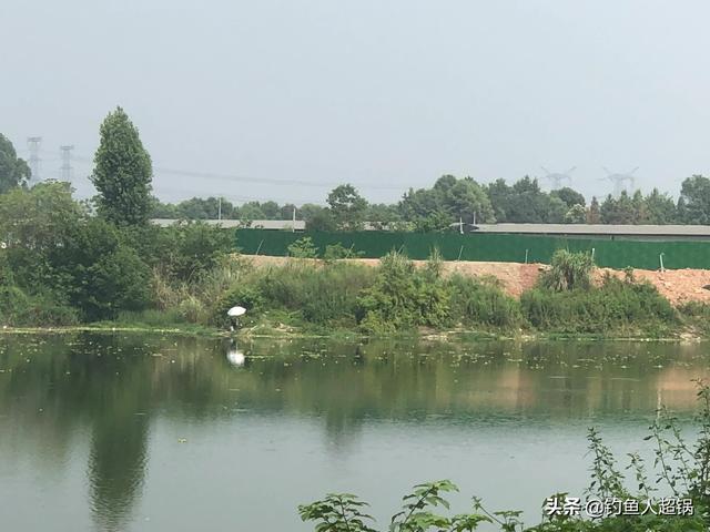 水库鲤鱼怎么钓才开口(老钓鱼人分享一套完整攻略)(3)
