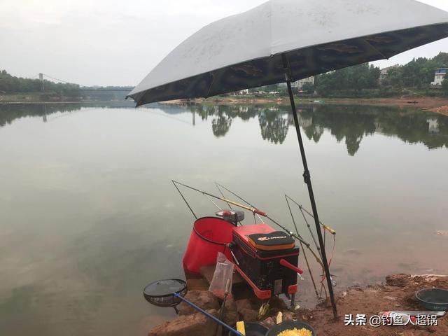 水库鲤鱼怎么钓才开口(老钓鱼人分享一套完整攻略)(4)
