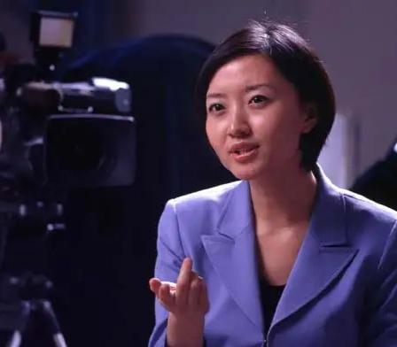 柴静穹顶之下为什么被禁(穹顶之下为什么没有了)