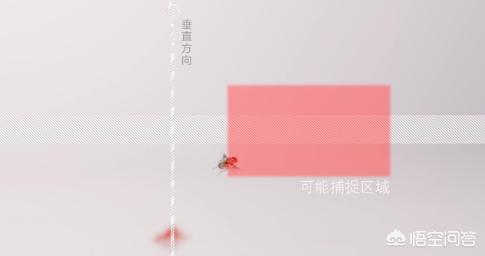 为什么苍蝇拍可以拍到苍蝇(为什么苍蝇拍能拍到苍蝇手却拍不到)(图4) 为什么苍蝇拍可以拍到苍蝇(为什么苍蝇拍能拍到苍蝇手却拍不到)(图4)