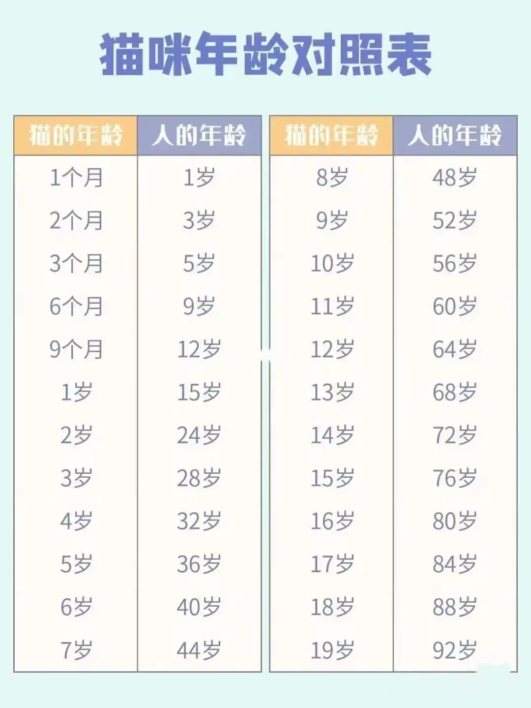 猫一岁相当于人的几岁智商(猫咪一岁相当于人几岁)(图2) 猫一岁相当于人的几岁智商(猫咪一岁相当于人几岁)(图2)