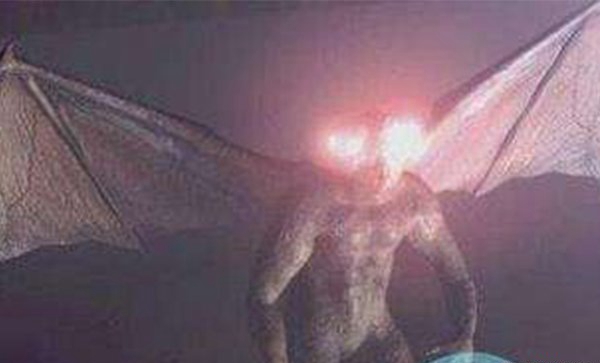 天蛾人已不再神秘
