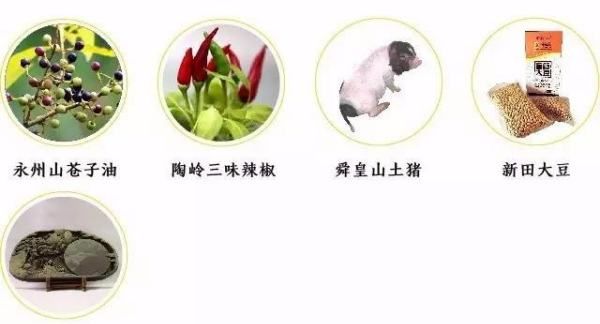 桂东县美食,桂东县美食图9