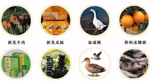 桂东县美食,桂东县美食图6