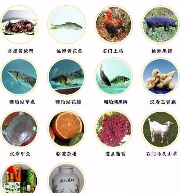 桂东县美食,桂东县美食图5