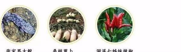 桂东县美食,桂东县美食图12