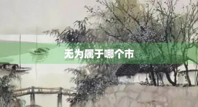 ​无为属于哪个市(无为属于哪个地方)