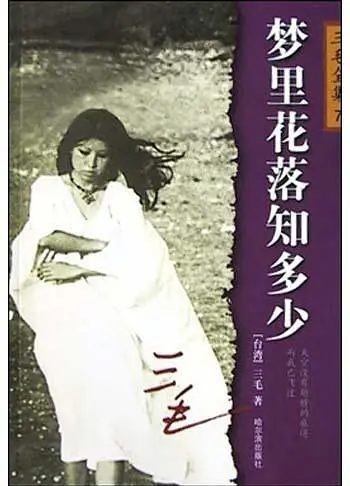 梦里花落知多少简介,影片体现的人文精神