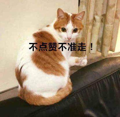 斗鱼三骚是哪三个_大尺度的几位现状如何 斗鱼三骚是哪三个_大尺度的几位现状如何
