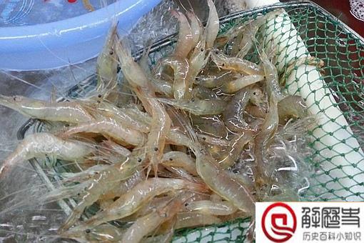 太湖三白是哪三白?太湖三白指的是白鱼白虾和什么? 太湖三白是哪三白?太湖三白指的是白鱼白虾和什么?