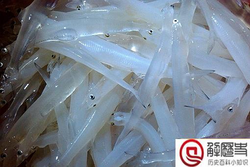 太湖三白是哪三白?太湖三白指的是白鱼白虾和什么? 太湖三白是哪三白?太湖三白指的是白鱼白虾和什么?