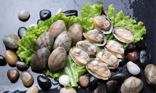 花蛤放清水里能活多久,花蛤放清水里能活多久啊图4