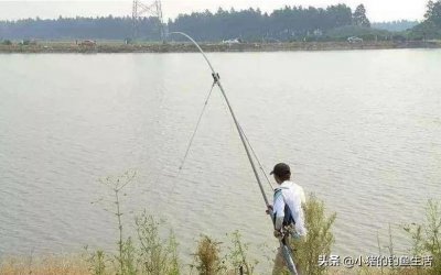 ​台钓竿和手竿区别有哪些（手竿和台钓竿有哪些尺寸）