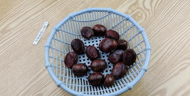 新鲜板栗可以冷冻吗 怎么保存不生虫呢?