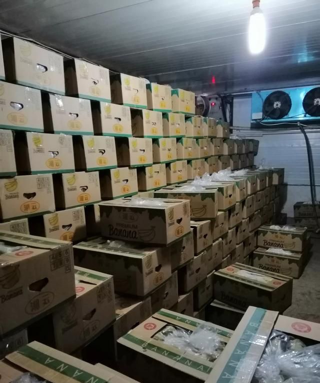 香蕉需要放冰箱冷藏吗,苹果跟香蕉能放在冰箱吗?图2