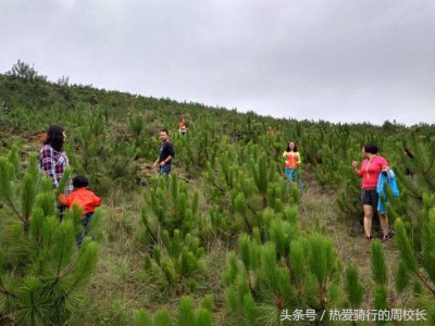 ​端午节游玩推荐自驾游（愉快的端午节欢乐游）