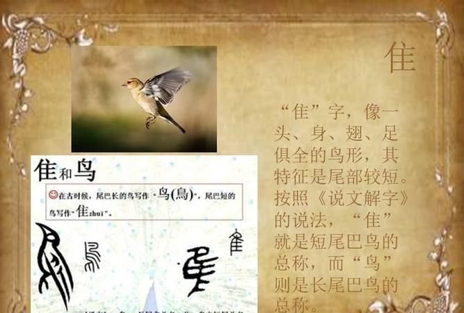 童姓的历史名人