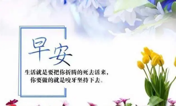 早安暖心话短句,早安暖心话短句图3