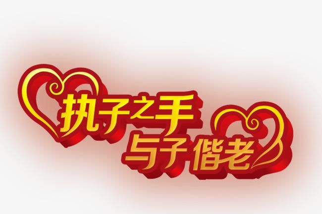 执子之手与子偕老指的是什么意思