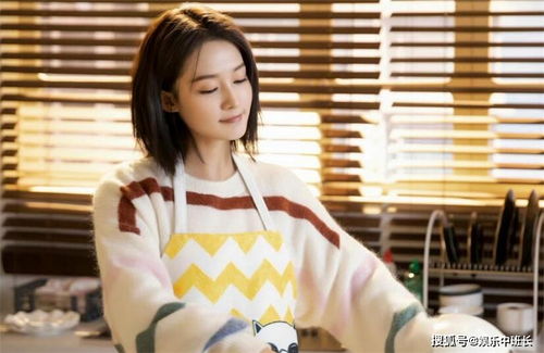 亲爱的戎装原著小说 亲爱的戎装简单介绍-图2